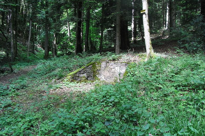 RIMG0445.JPG